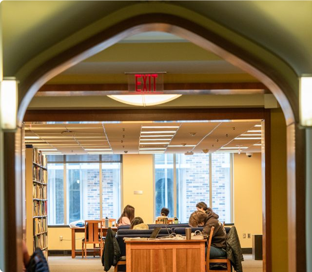 A group of students studying in the library.