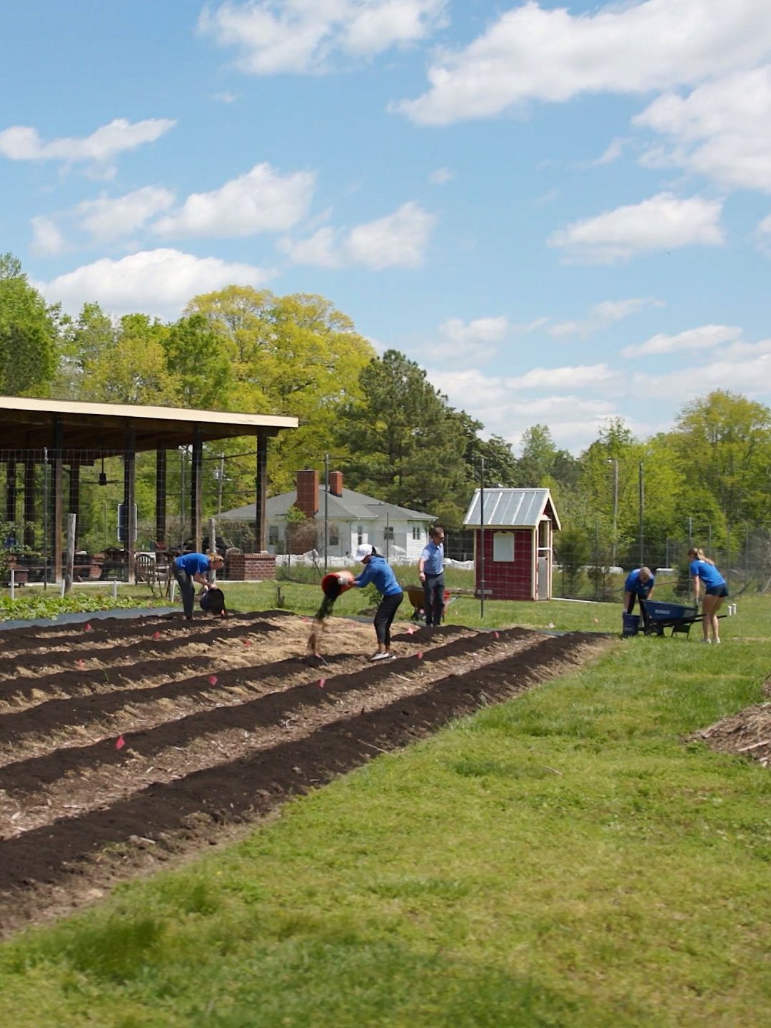 Students working in the Duke farm.